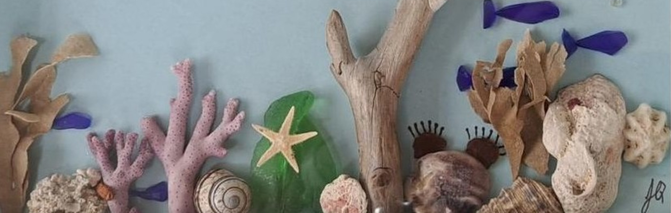 image of seashells, coral, wood, starfish and snail shells